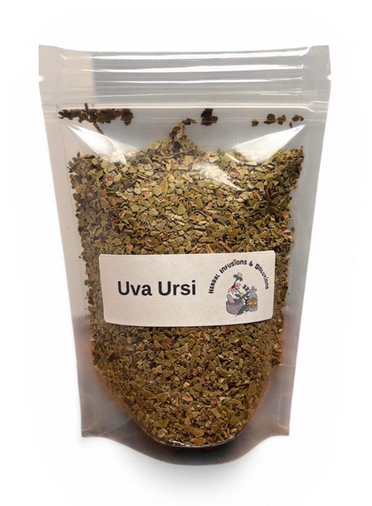 Uva Ursi